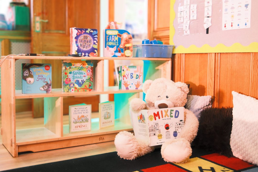 A teddy bear reading
